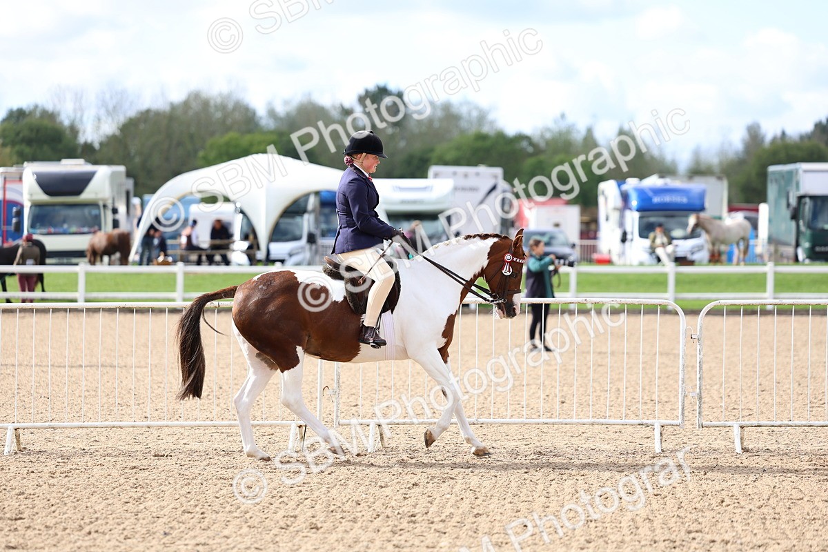 SBM_10044 - Class 304 - Ridden Part Bred Horse Pony