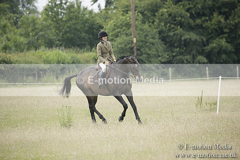B230619-0710 - Bourne Valley Riding Club Summer Show 23/06/19