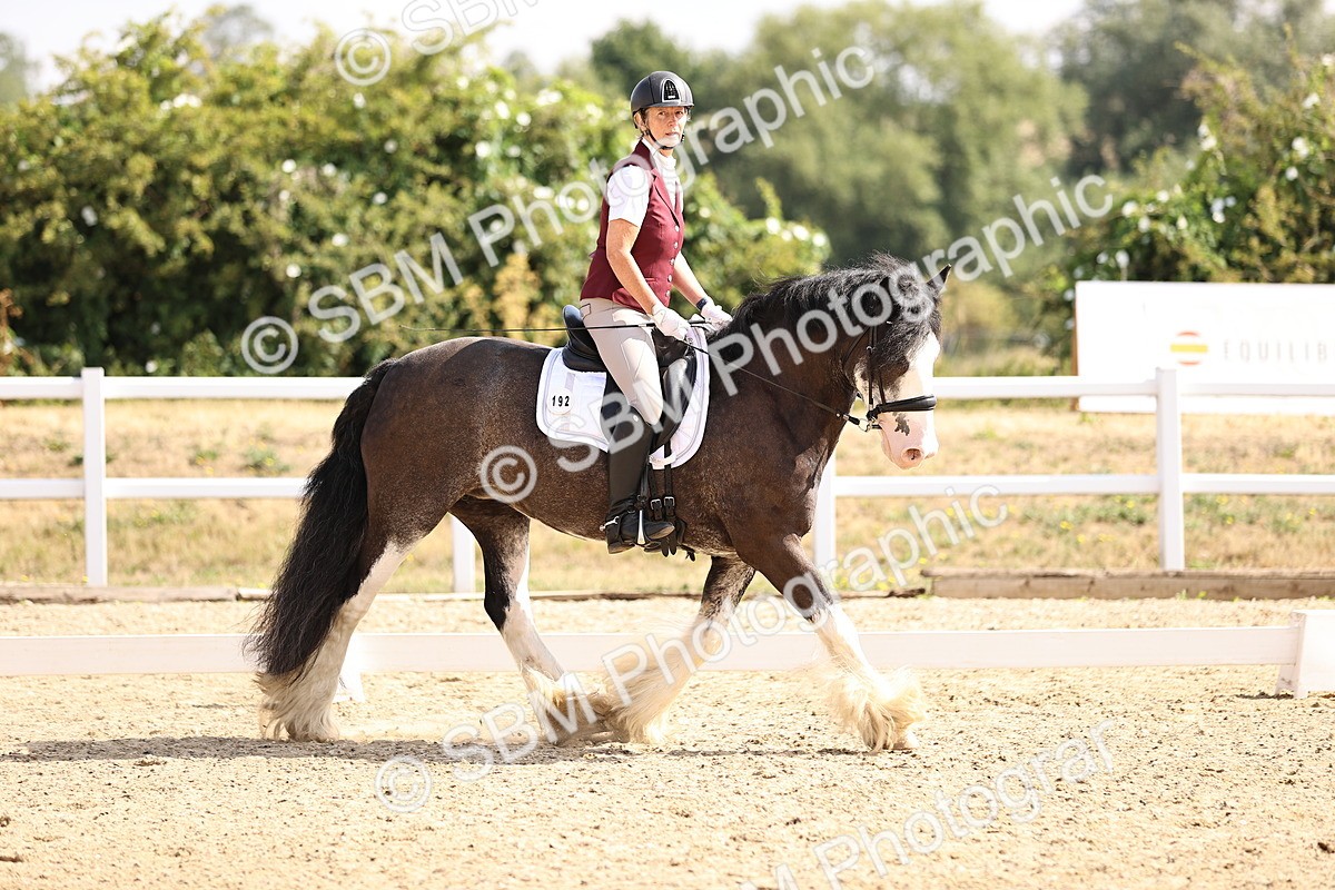 SBM_006483 - Intro 3 - 9.46-10.46