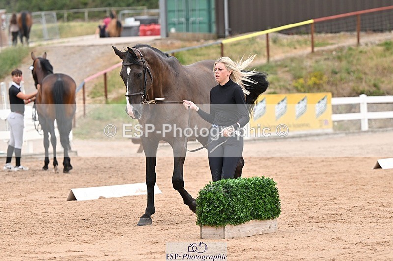 250716-160113-02344 - Trot Up 3.30 to 4.30