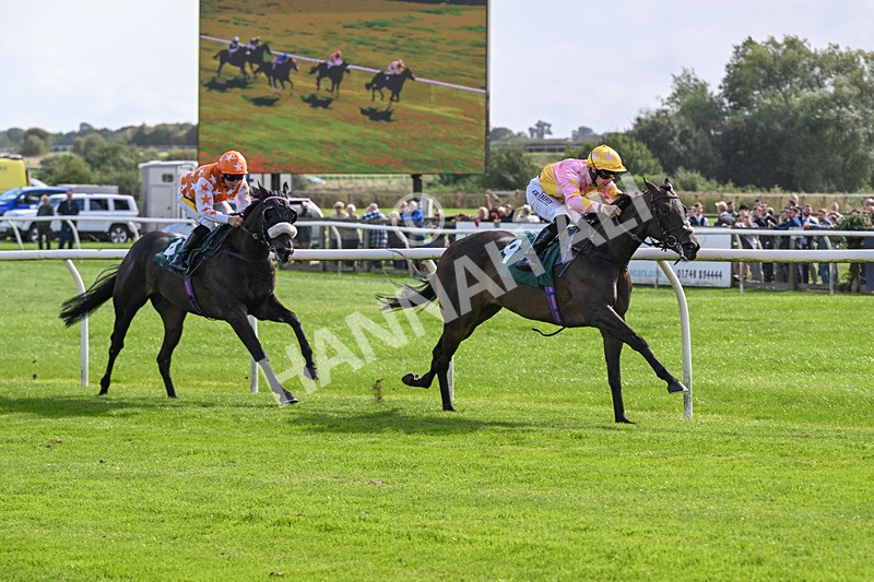 080926-Race 3-Battenburg Belle-2288 - Race 3 3.03pm Fifth Regiment Royal Artillery Handicap (Div I)