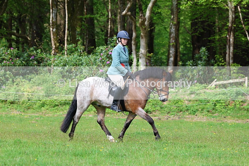 3E7A2632 - Working Hunter Championship