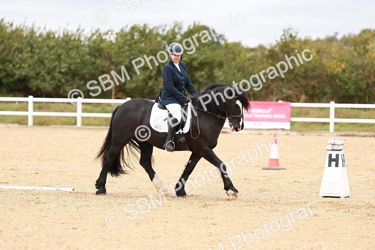 SBM_001503 - Class 4 - Prelim 3