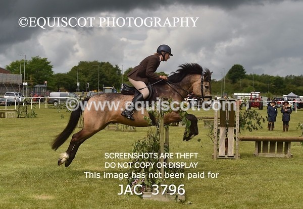 JAC_3796 - 65cm WORKING HUNTER