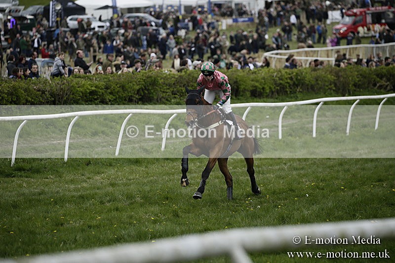 PtP 170417 556 - Old Berks Point-to-Point Lockinge 17/04/17