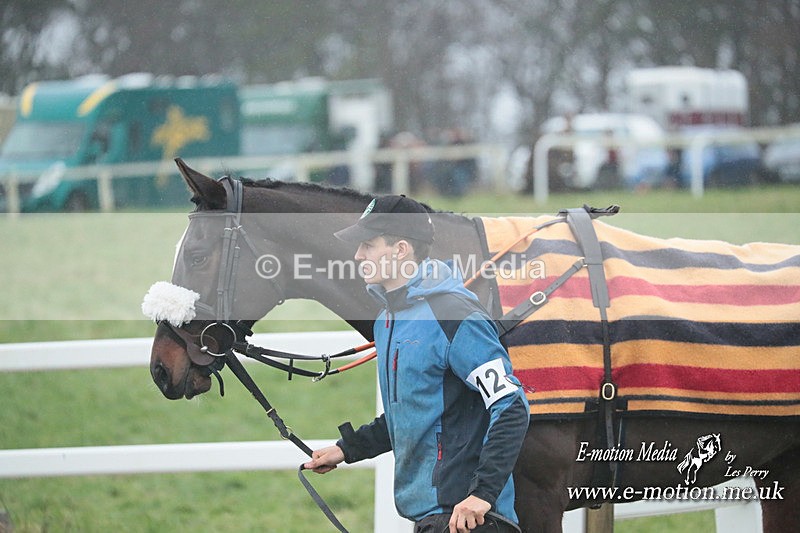PtP 101223 182 - New Forest Hounds PtP Larkhill 10/12/23