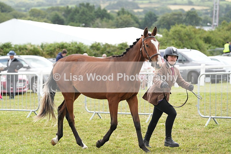 DSC06047 - Class 54: Hunter/Riding Horse/Hack 1 & 2 yr olds