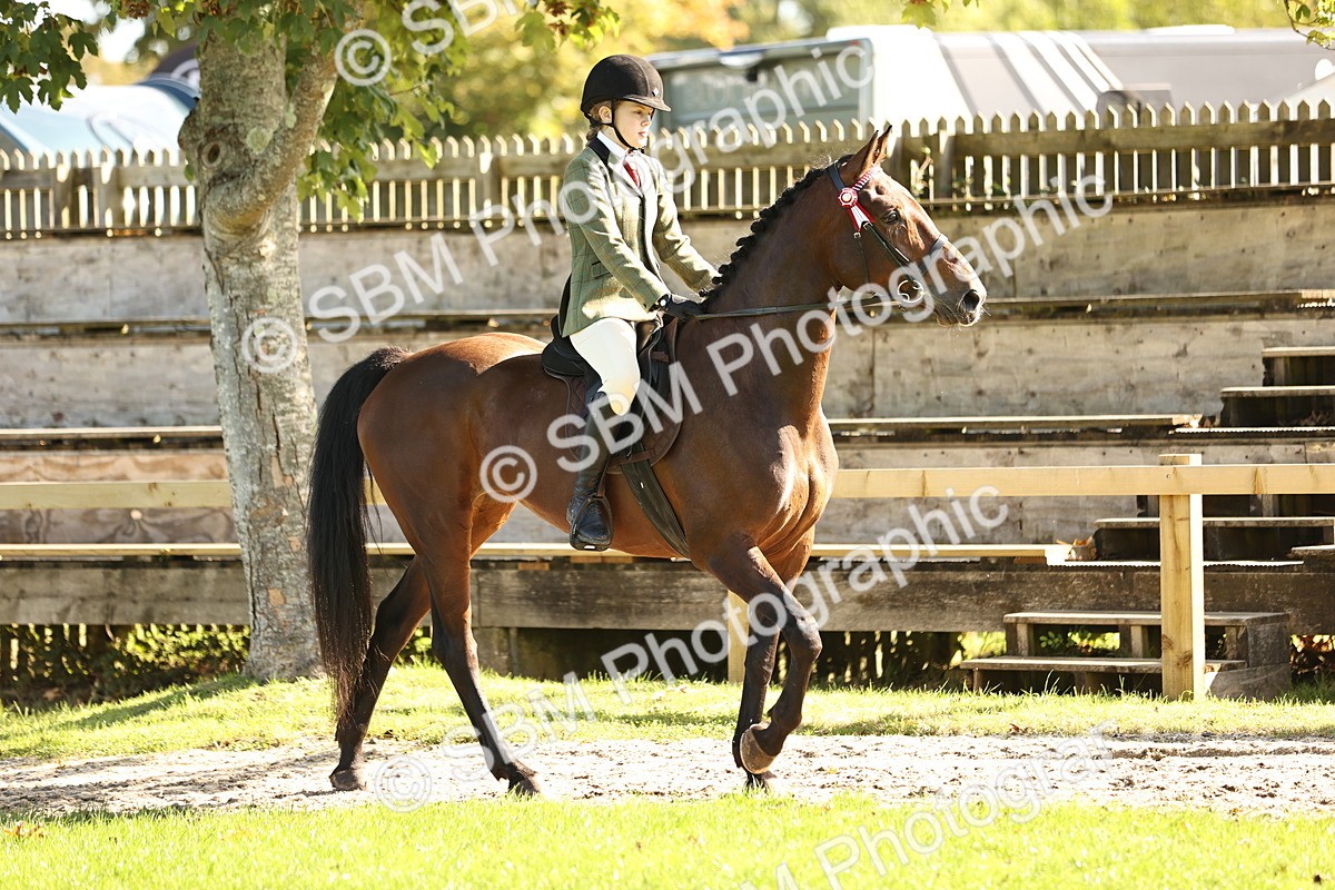 SBM_16988 - S2 - TSR Ridden Pony Showing