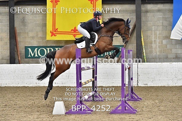 BPP_4252 - FRI CLASS 24 FOX/1.20M OPEN