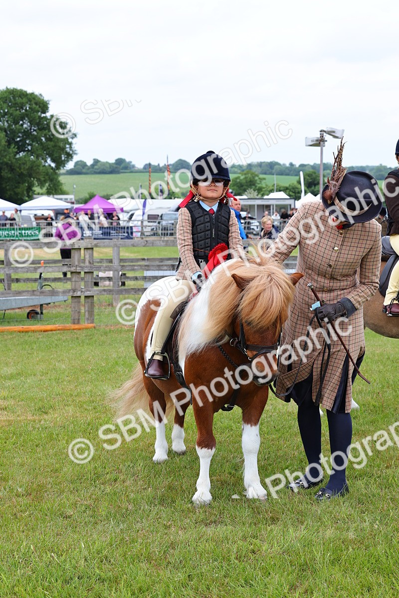 SBM_08408 - Class 42-43 - LIHS BSPS Heritage Working Sports Pony