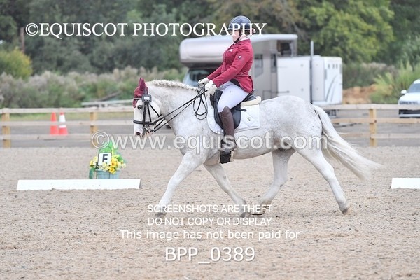 BPP_0389 - ELEM 6 & 4
