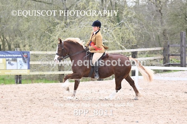 BPP_8011 - SUPREME CHAMPIONSHIP