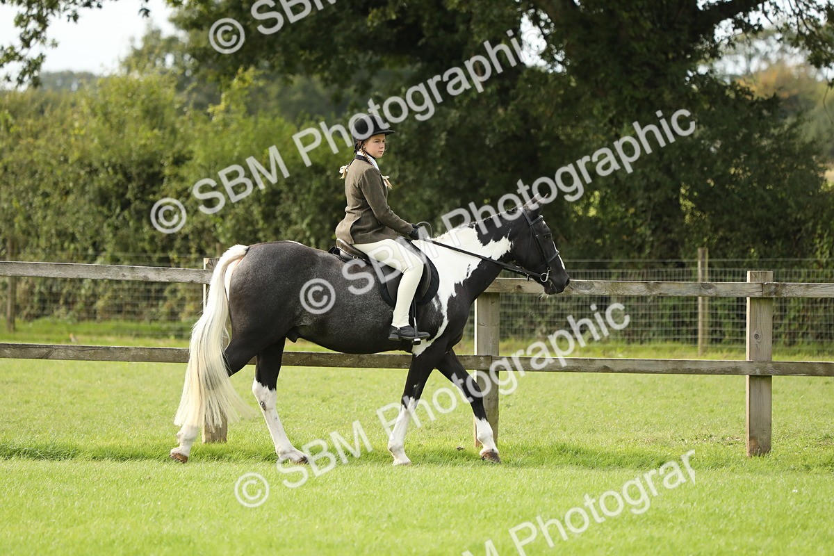 SBM_71472 - S41 - Ridden Equitation (Best Rider)