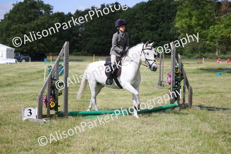 20260614-0540 - Class 20 - Beginners Working Hunter Pony