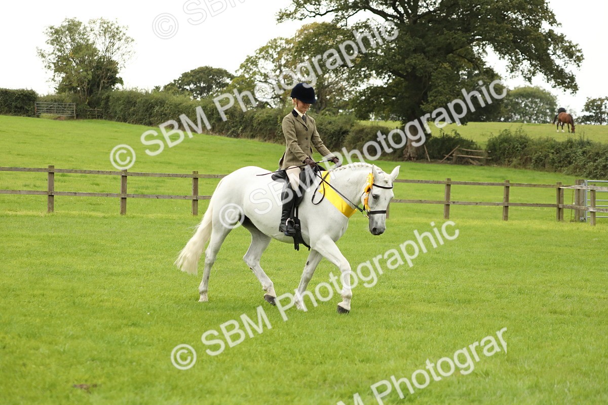 SBM_71453 - S41 - Ridden Equitation (Best Rider)
