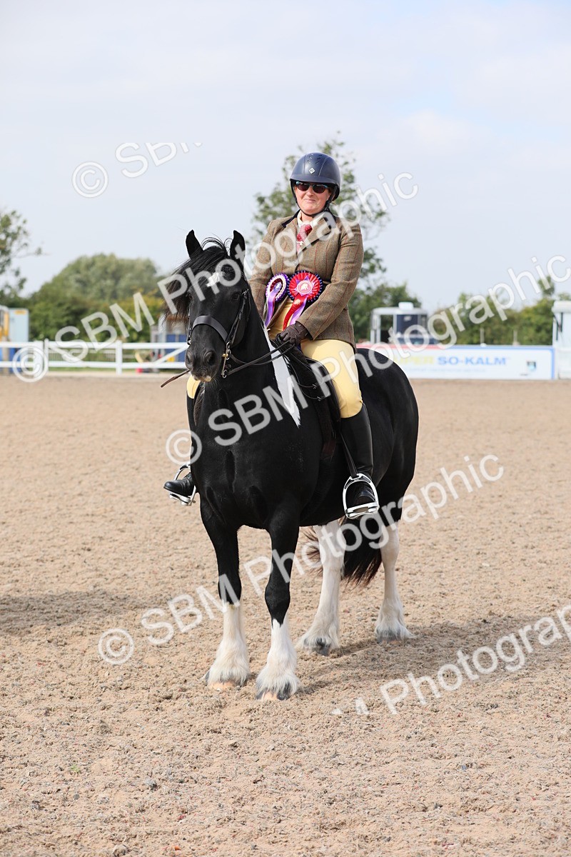SBM_12869 - Class 307 Ridden Coloured Pony