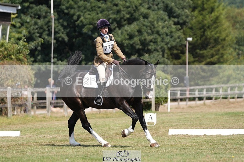 250823A-120211-29255 - Arena A