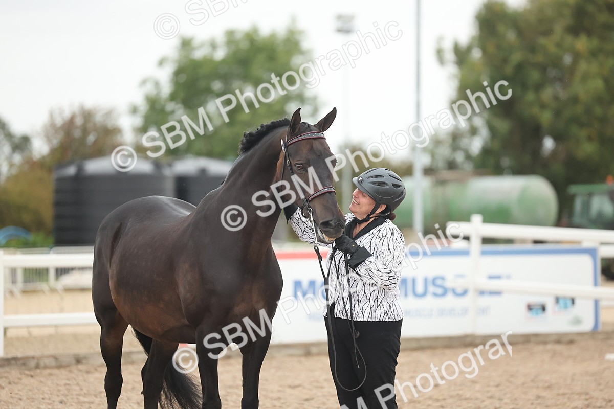 SBM_19400 - Class 317 - IH Pure Bred Horse-Pony