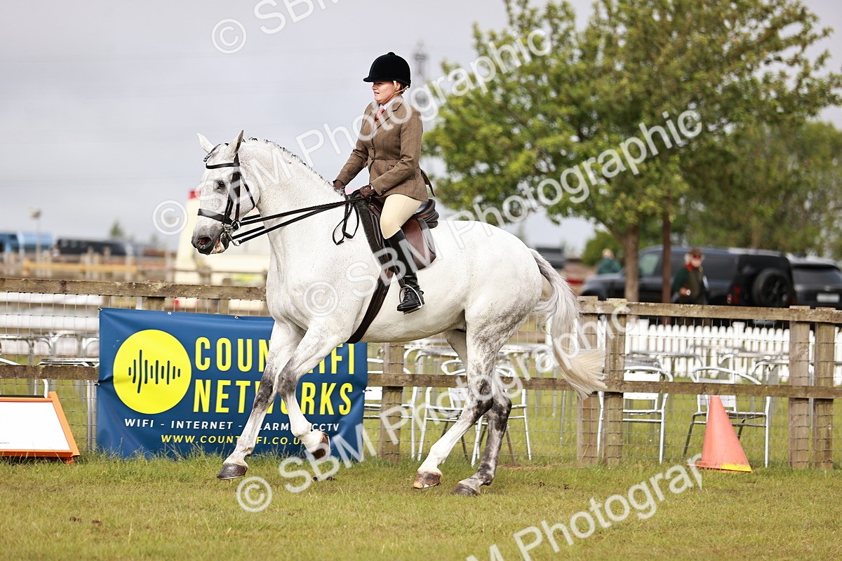 SBM_10864 - Class 81-84 - RIHS Ridden hunters Inc Ladies Hunter