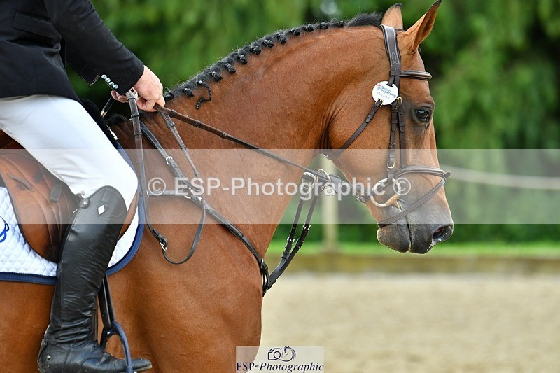 230715-094520-32330 - Cls 84 4 yr old Champ