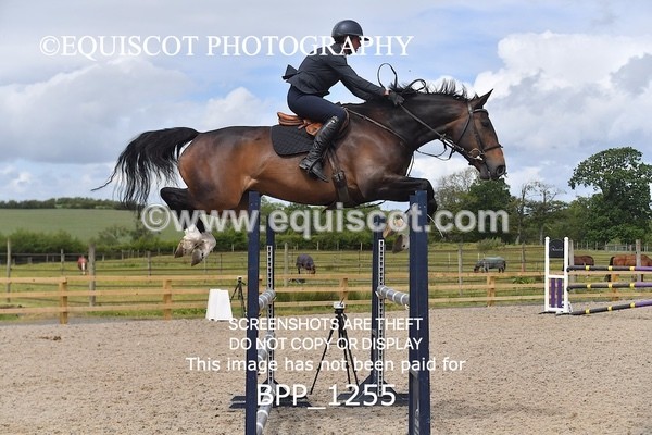 BPP_1255 - Senior Foxhunter/ 1.20m Open