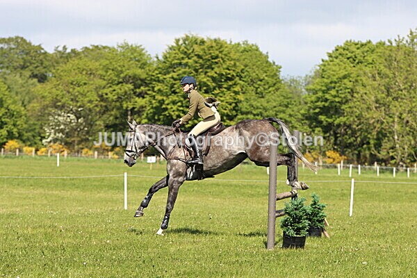 IMG_4614 - Working Hunter