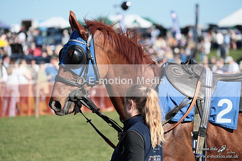 PtP 210326 210 - VWH Cirencester Races 21/03/26