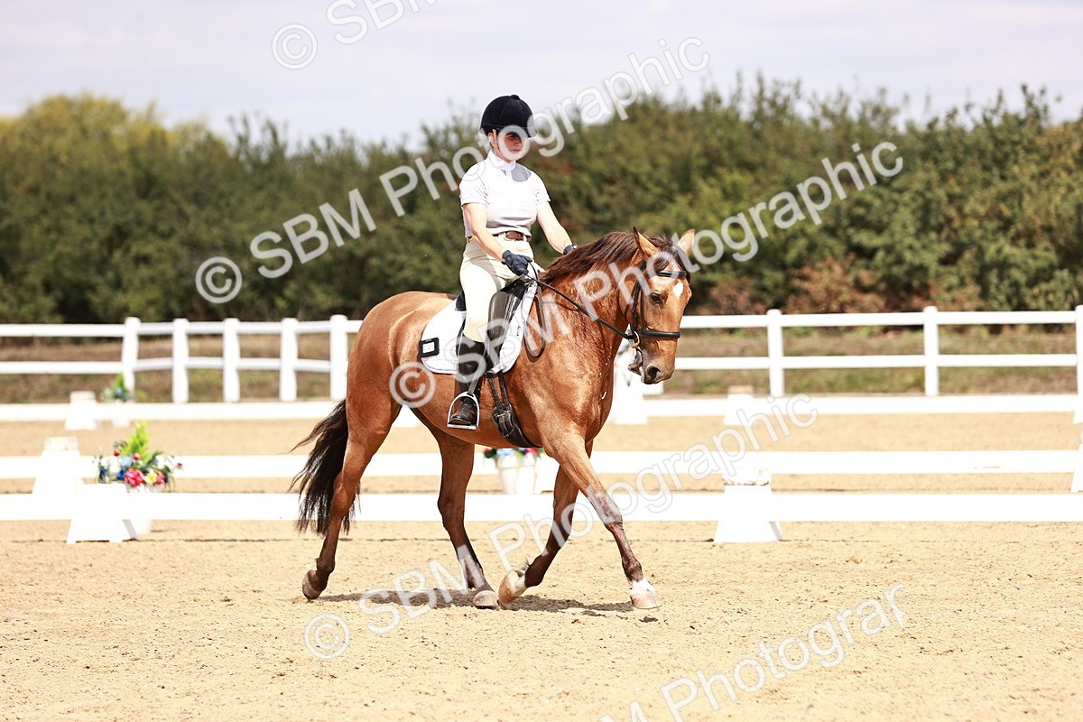 SBM_018558 - Class 17 - Novice 6