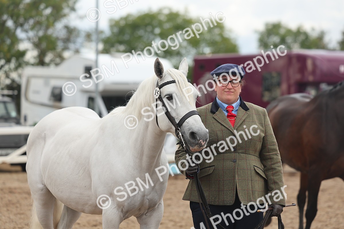 SBM_07817 - Class 27 - IH Competition Horse/Pony