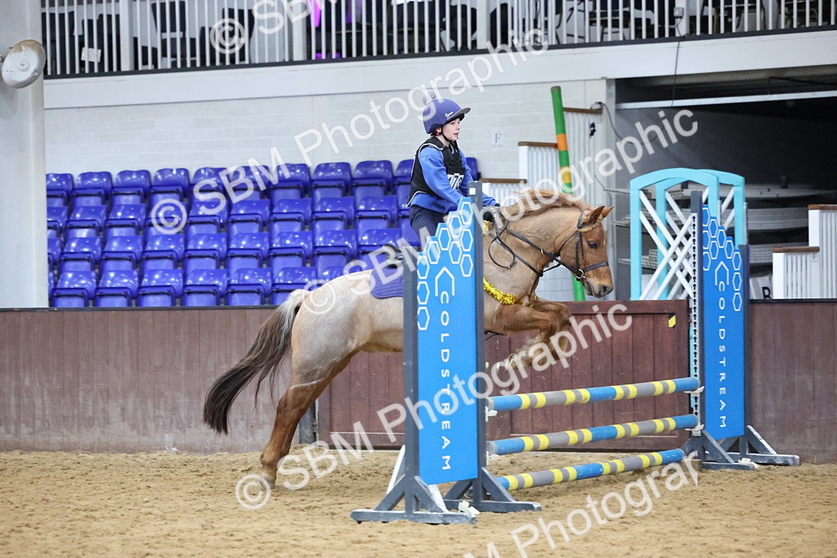 SBM_001088 - Class 3 - Christmas Tree Stakes - 60cm