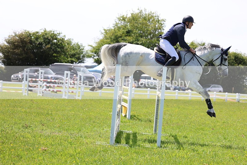 3E7A1288 - Class 12: Senior Foxhunter/1.20 open