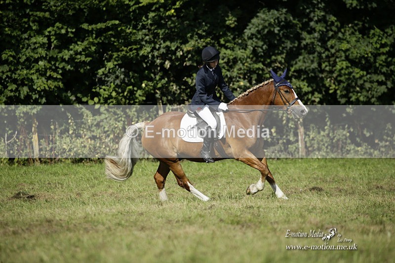 BVRC 120921 202 - Bourne Valley Riding Club UA Dressage & Show Jumping 12/09/21