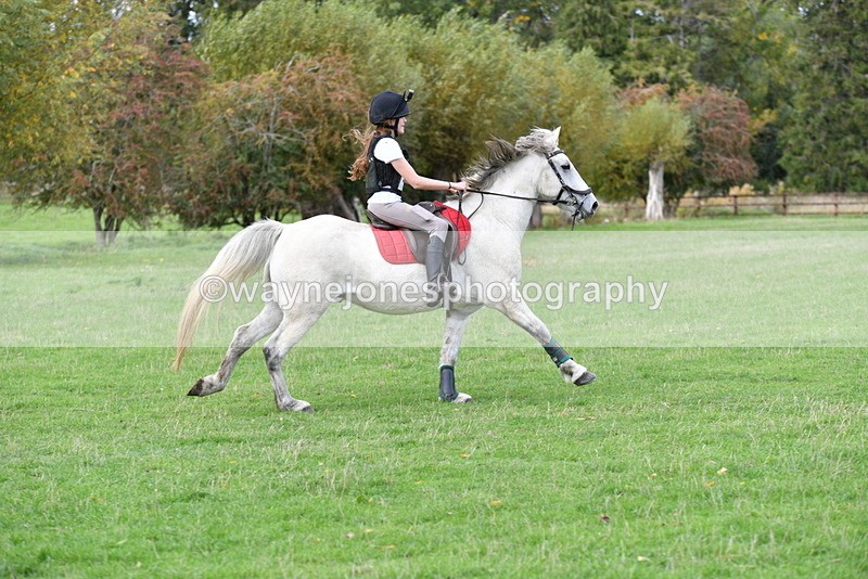 WJ5_1038 - Time 14:29 to 15:31