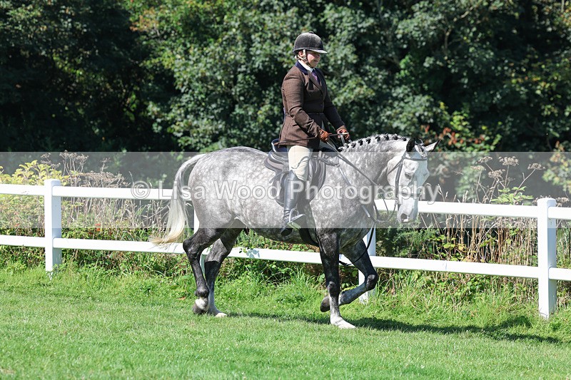 3E7A8332 - Class 4: Novice working Hunter