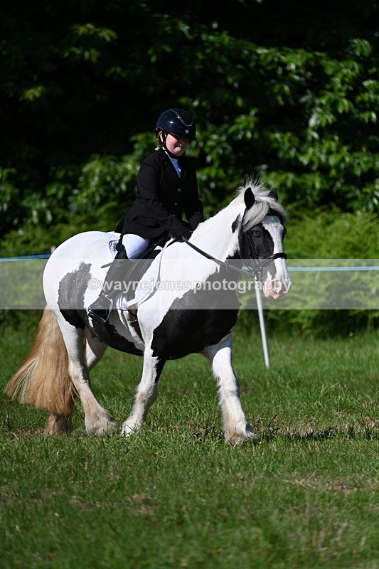 WJ7_0539 - Class 8 First Rally Pony