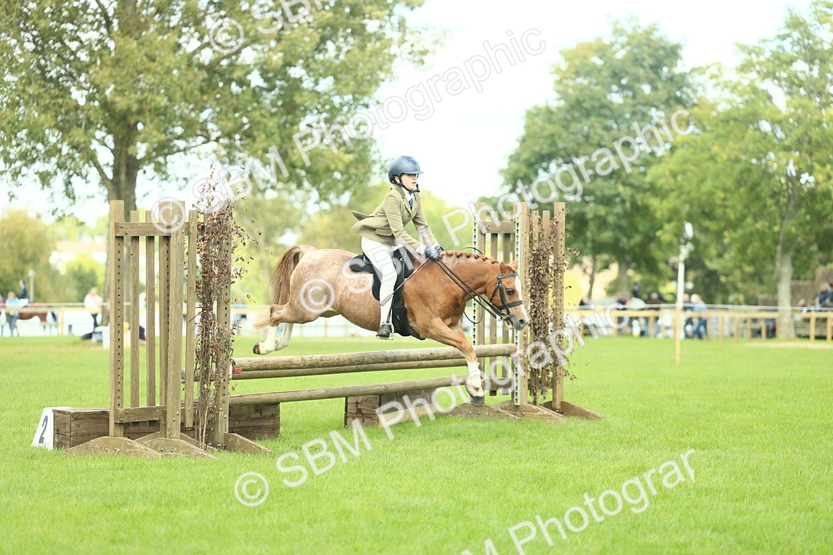 SBM_44668 - S31 - Working Hunter Pony