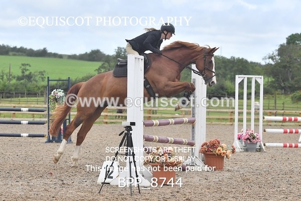 BPP_8744 - CLASS 3 Senior British Novice/ 90cm Open