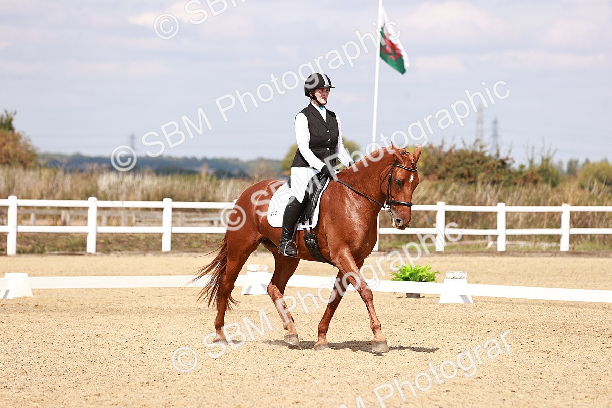 SBM_018487 - Class 17 - Novice 6