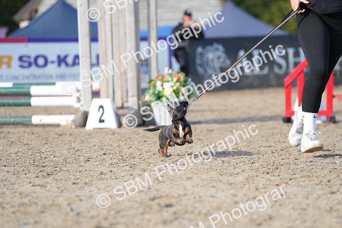 SBM_29040 - J43 - Horse & Hound Open 50cm