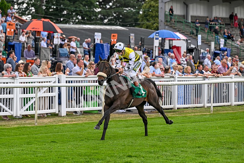 010726-Race 2-Arapaho Gold-7770 - Race 2 13.38pm British EBF Restricted Novice Stakes (Div II)