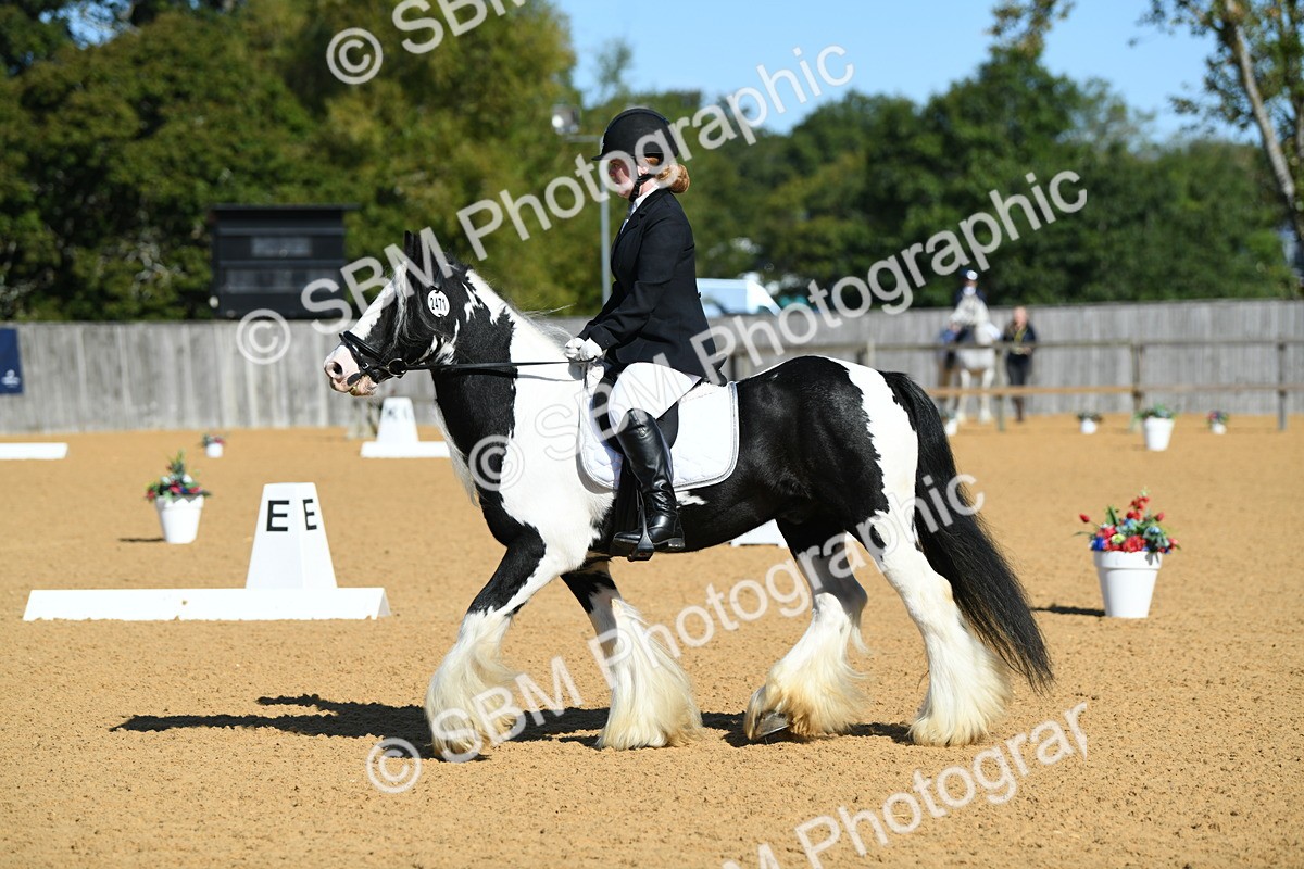 SBM_18075 - D4 - Small Tour Championship - Intro B