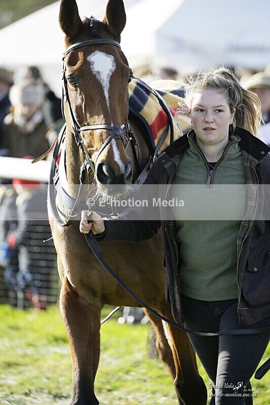 PtP 250921 0281 - Point-to-Point Badbury Rings Dorset 07/11/2021
