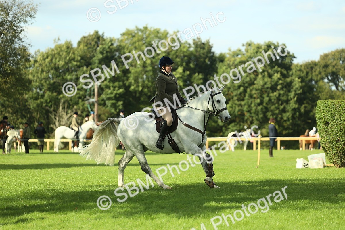 SBM_48050 - S32 - Novice & Newcomers Working Hunter