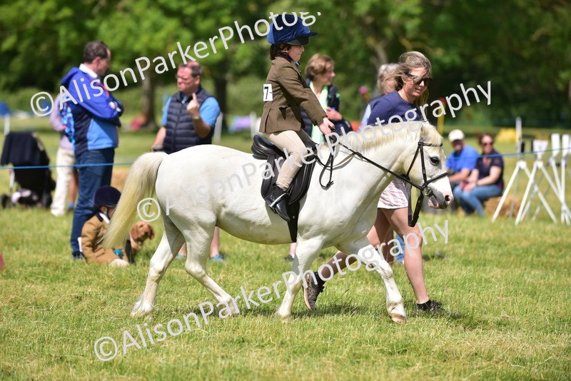 20260614-1184 - Class 11a - Lead Rein Pony (Unplaited)