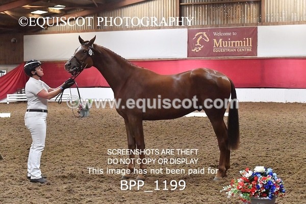 BPP_1199 - MORNING 9AM - 12PM