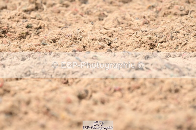 240621A-154137-05006 - Cls 5 MyQuest Prelim 12