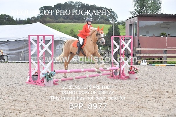 BPP_8977 - CLASS 4 50CM