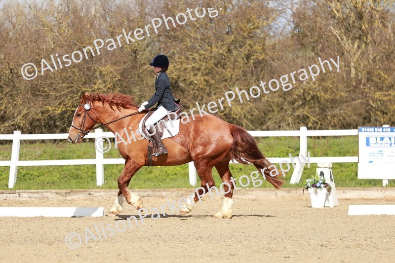 20260314-2932 - DR3 - Prelim 1