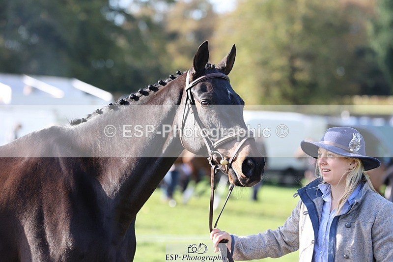 241027-101419-15763 - 507-Emilia.Pritchard-EMBEZZLED.LAW