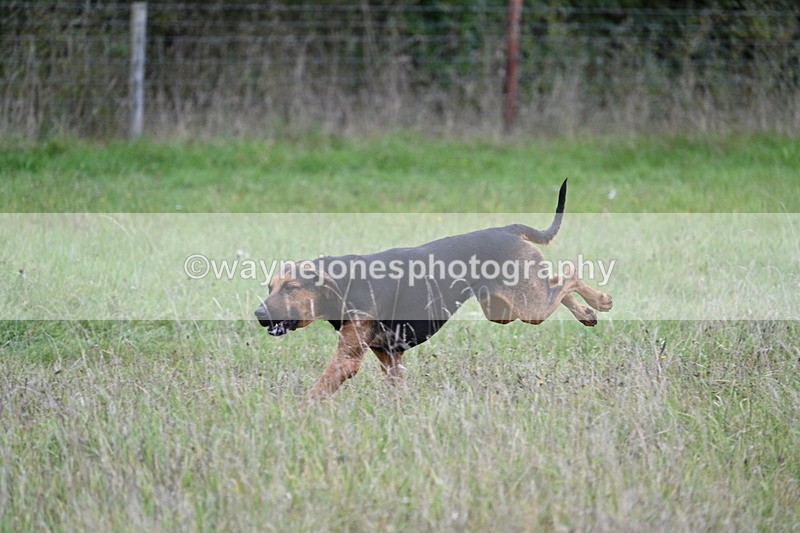 WJ7_3539 - Camera 1 Line 1